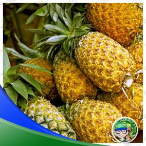 Pineapple/Pinya