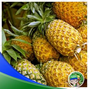 Pineapple/Pinya