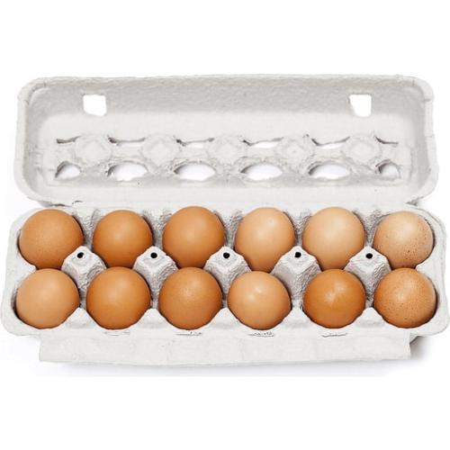 Jewm Brown Egg 12s