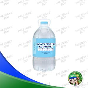Nature Spring Purified Water 4L