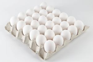 Egg Large