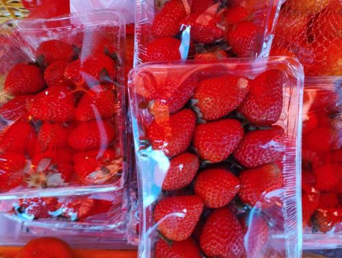 Fresh Strawberry 250g