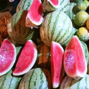 Seedless Watermelon Sliced