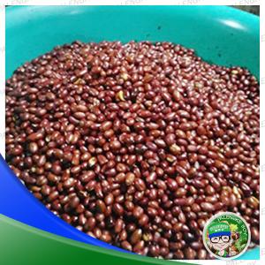 Roasted Peanut Red