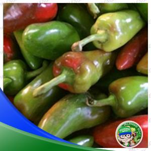 Red & Green Bell Pepper