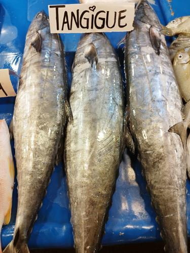 Tanigue Whole (1.5kg Up)